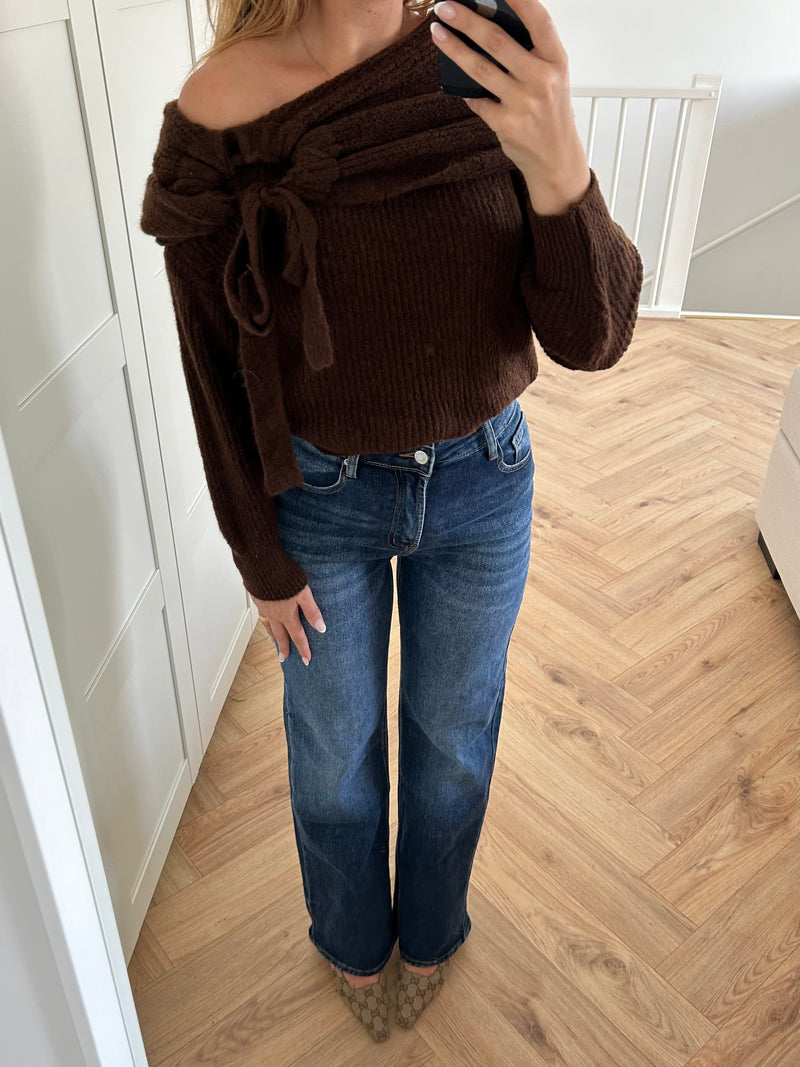 Brown Sweater